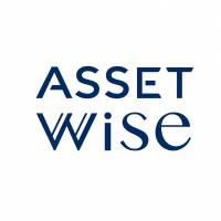 Asset Wise
