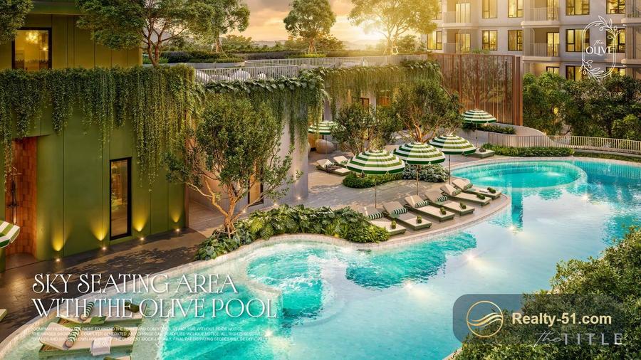 The Title Olive — 7